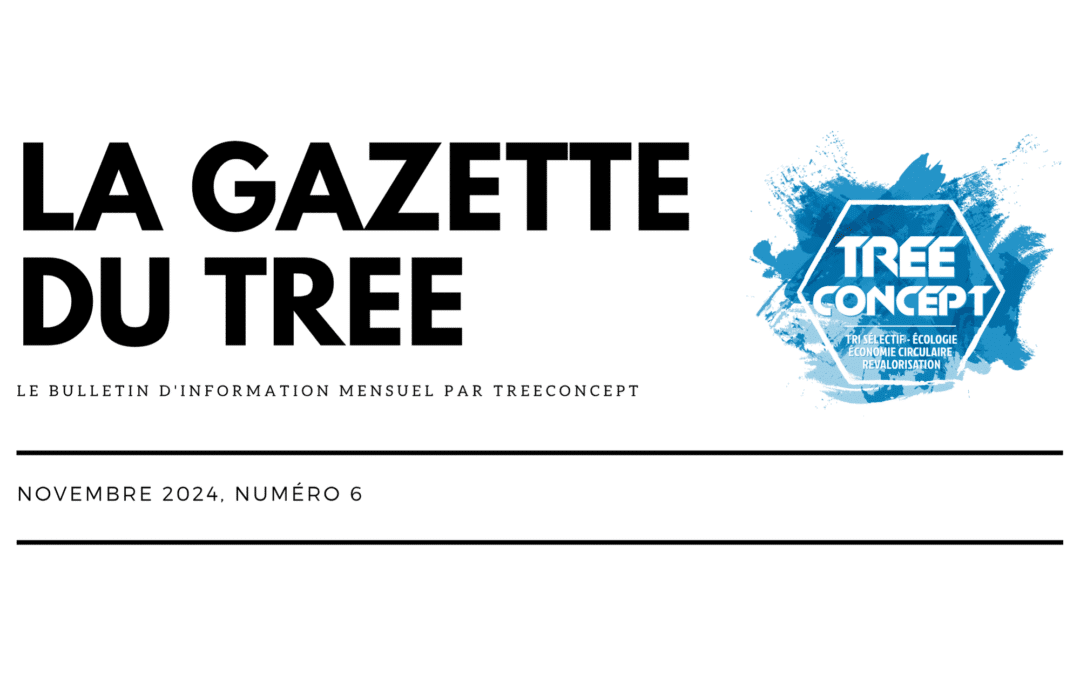 NEWSLETTER – NOVEMBRE 2024, NUMERO 6